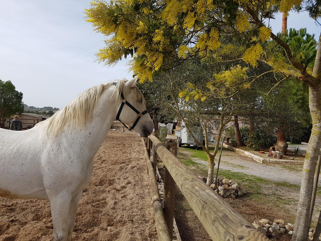 Finca Caballo Blanco Montuiri (Mallorca) Exterior foto