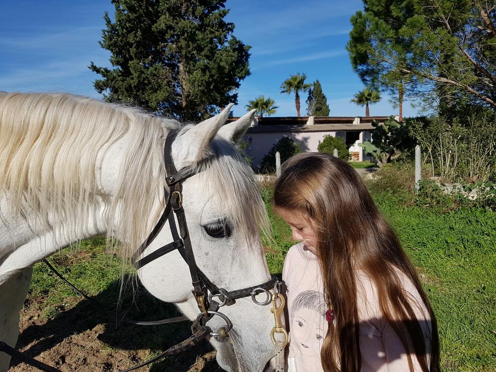 Finca Caballo Blanco Montuiri (Mallorca) Exterior foto