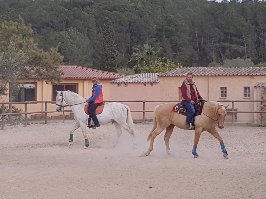 Finca Caballo Blanco Montuiri (Mallorca) Exterior foto