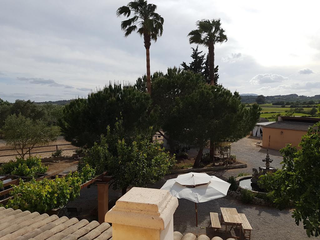 Finca Caballo Blanco Montuiri (Mallorca) Exterior foto
