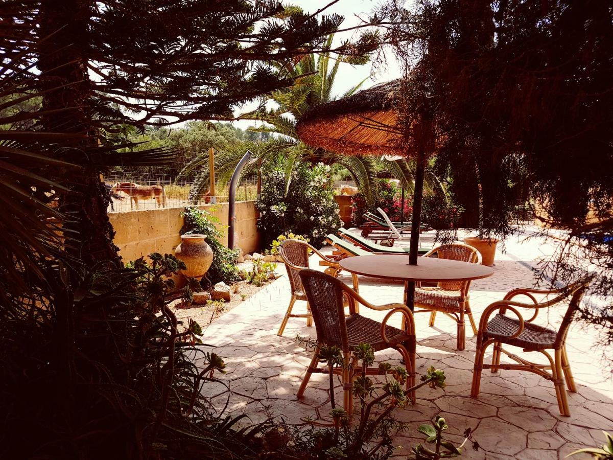 Finca Caballo Blanco Montuiri (Mallorca) Exterior foto