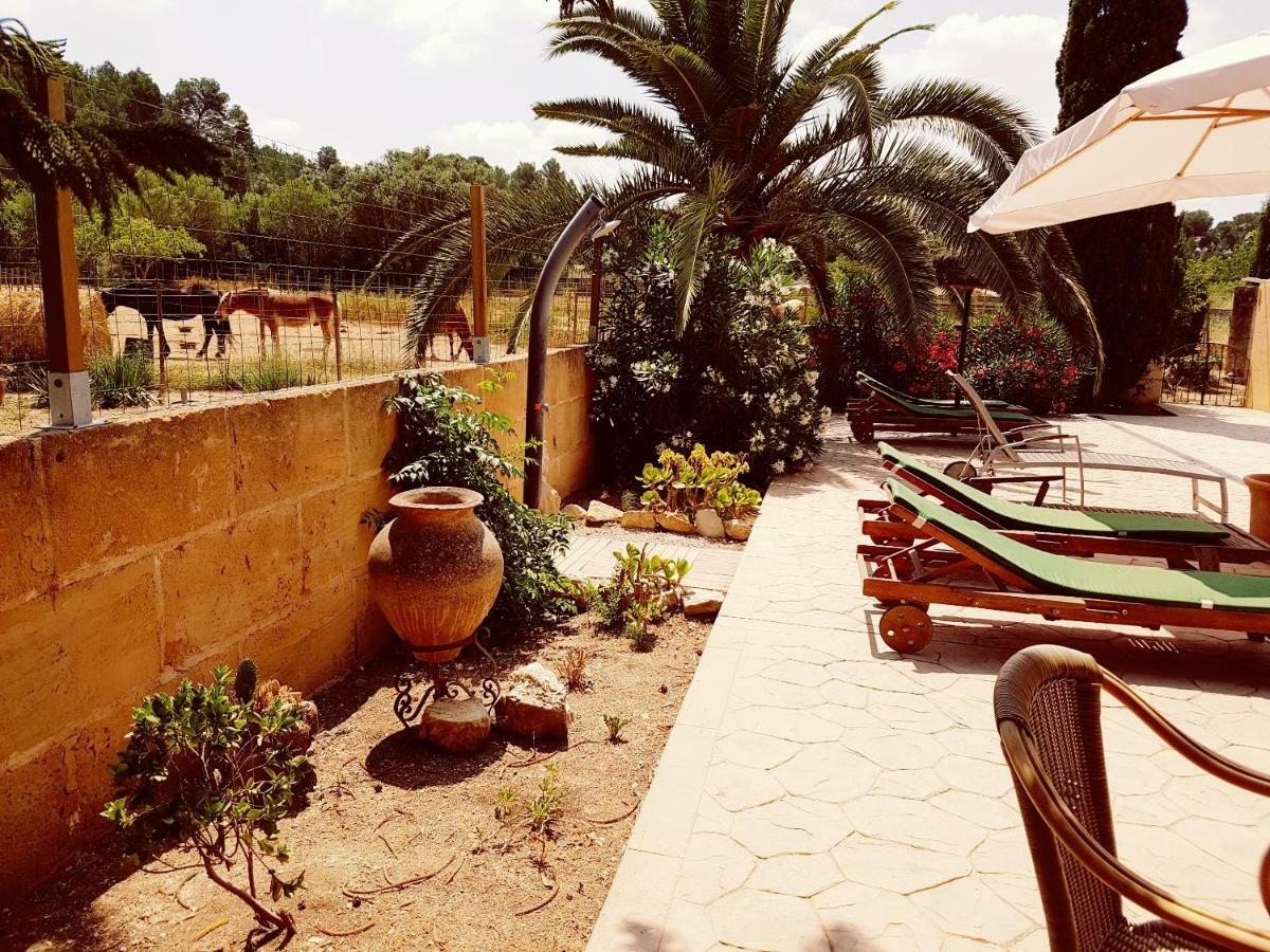 Finca Caballo Blanco Montuiri (Mallorca) Exterior foto